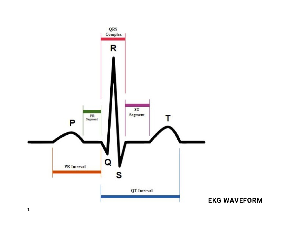 EKG Waveforms and Intervals Info - EKG WAVEFORM P-WAVE The P-Wave ...