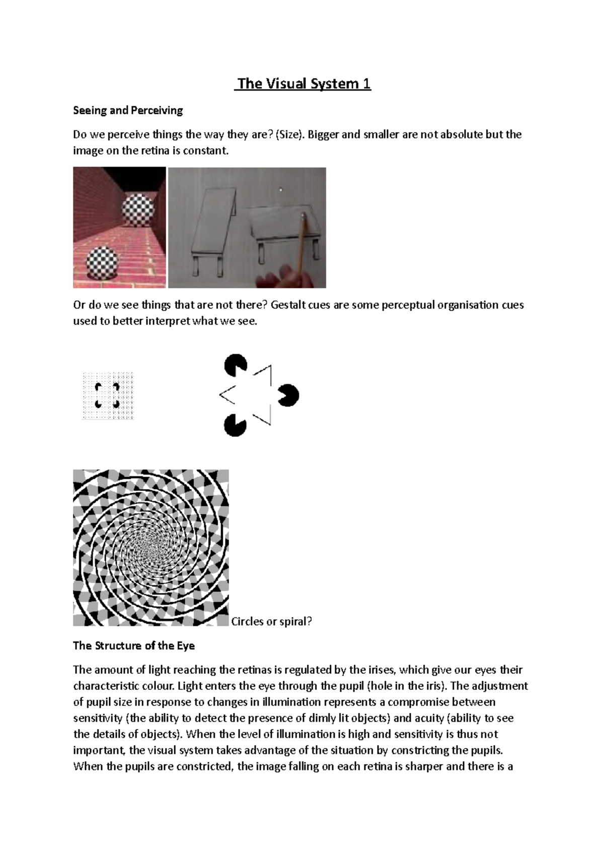 The Visual System 1 - vision - The Visual System 1 Seeing and ...