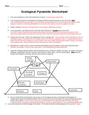 KEY ecological-pyramids-worksheet 2013 - - Studocu
