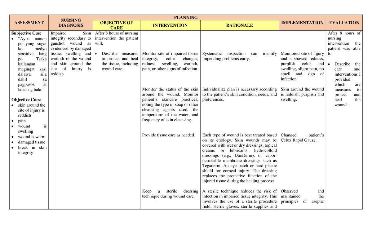 Nursing Care Plan For Skin Integrity In Elderly