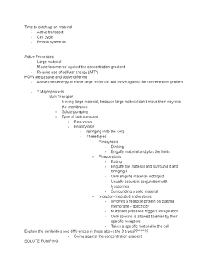 Chapter 14 Outline - Chapter 14 Section 4 Overview of the Brain Brain ...