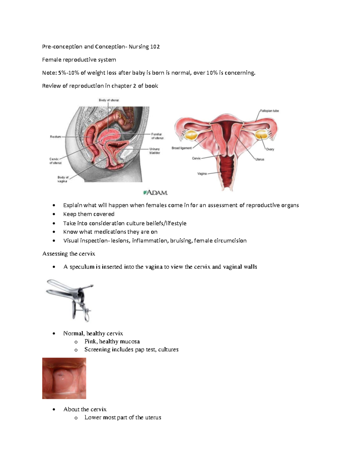 Preconception and conception, STI - Pre-conception and Conception ...