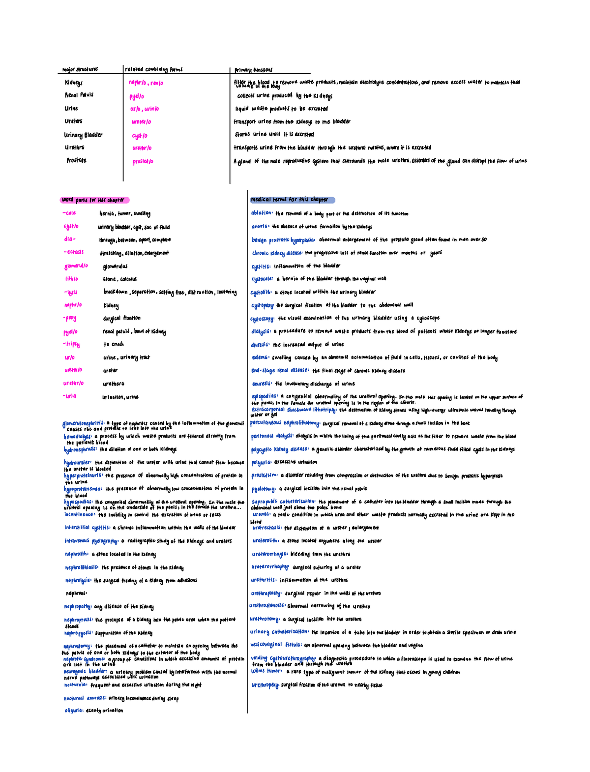 Chapter 9 The Urinary System - major structures related combining forms ...