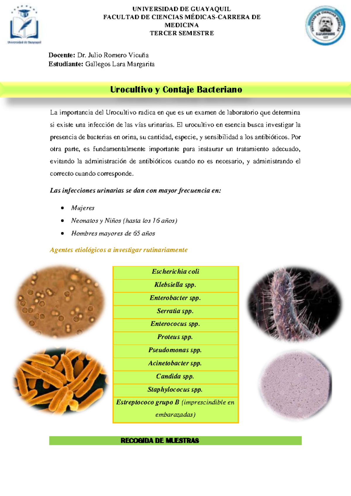 Urocultivo y Contaje Bacteriano La importancia del Urocultivo radica