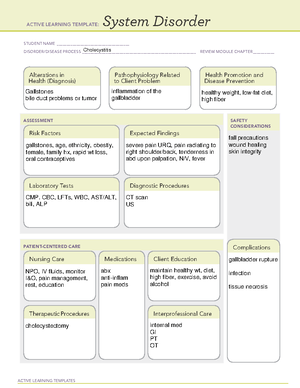 Meningitis - ATI learning template - ACTIVE LEARNING TEMPLATES System ...