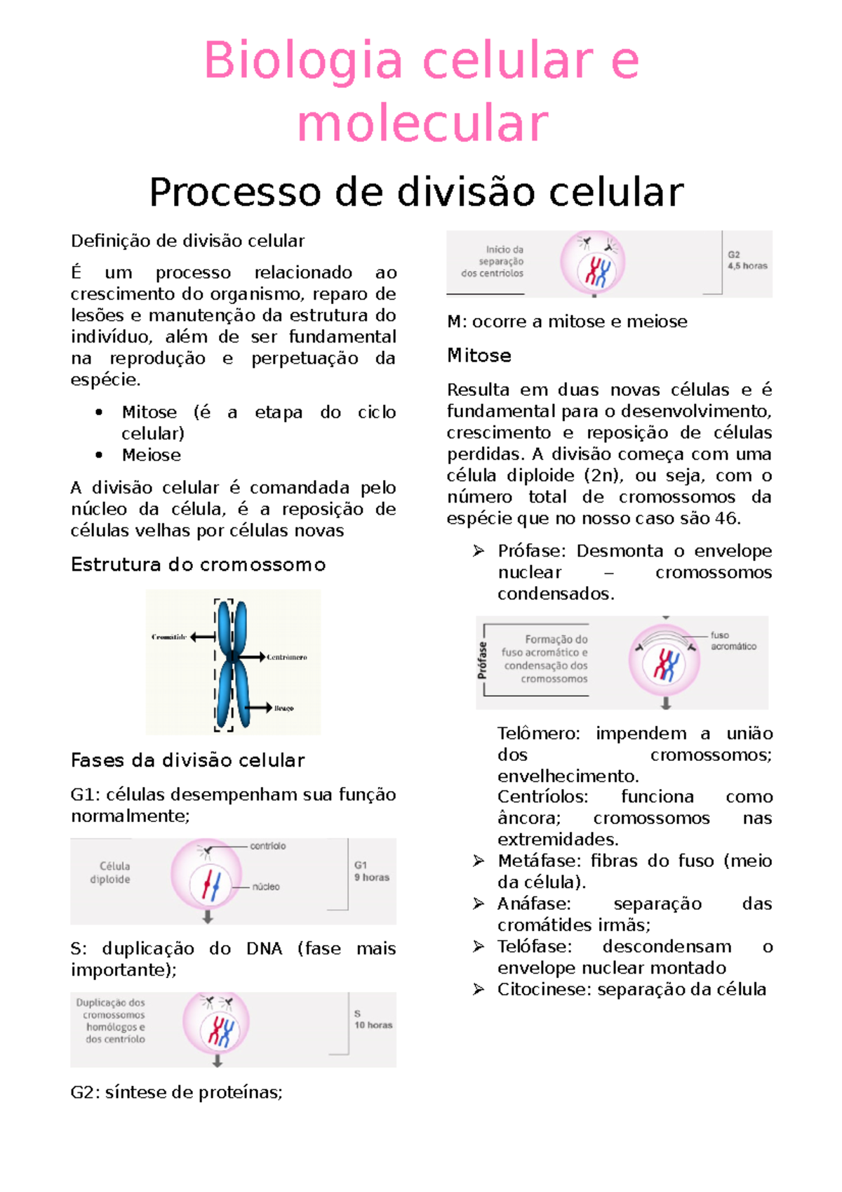 Biologia Celular E Molecular - Biologia Celular E Molecular Processo De ...