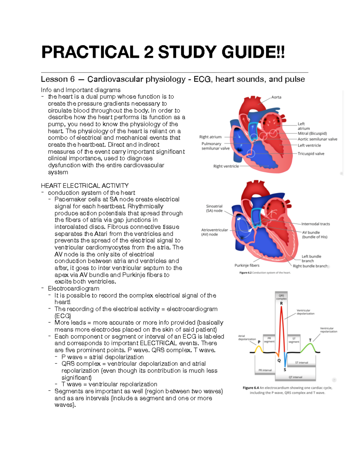 Practical 2 study guide - PRACTICAL 2 STUDY GUIDE!! Lesson 6 ...