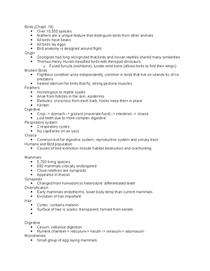 Animal Architecture and Phylogeny Lecture Notes - Animal Architecture ...