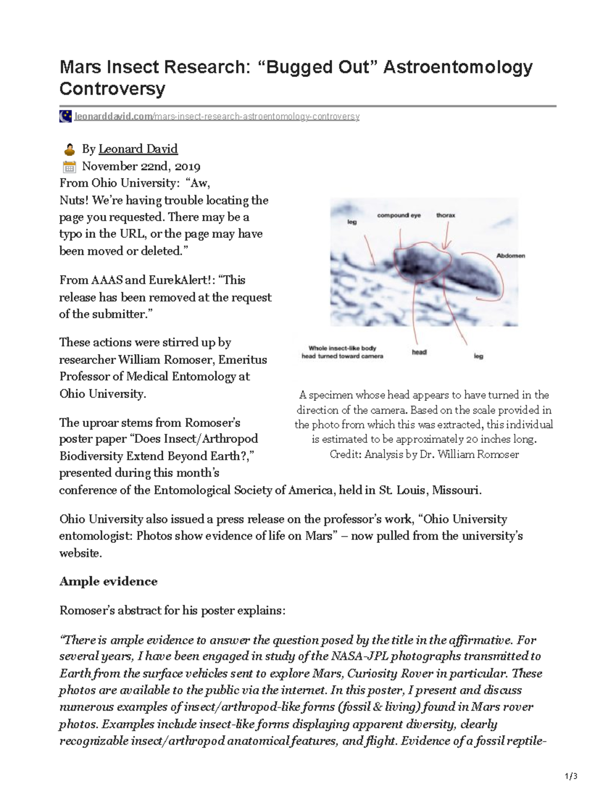 Mars Insect Research Bugged Out Astroentomology Controversy - 1/ A ...