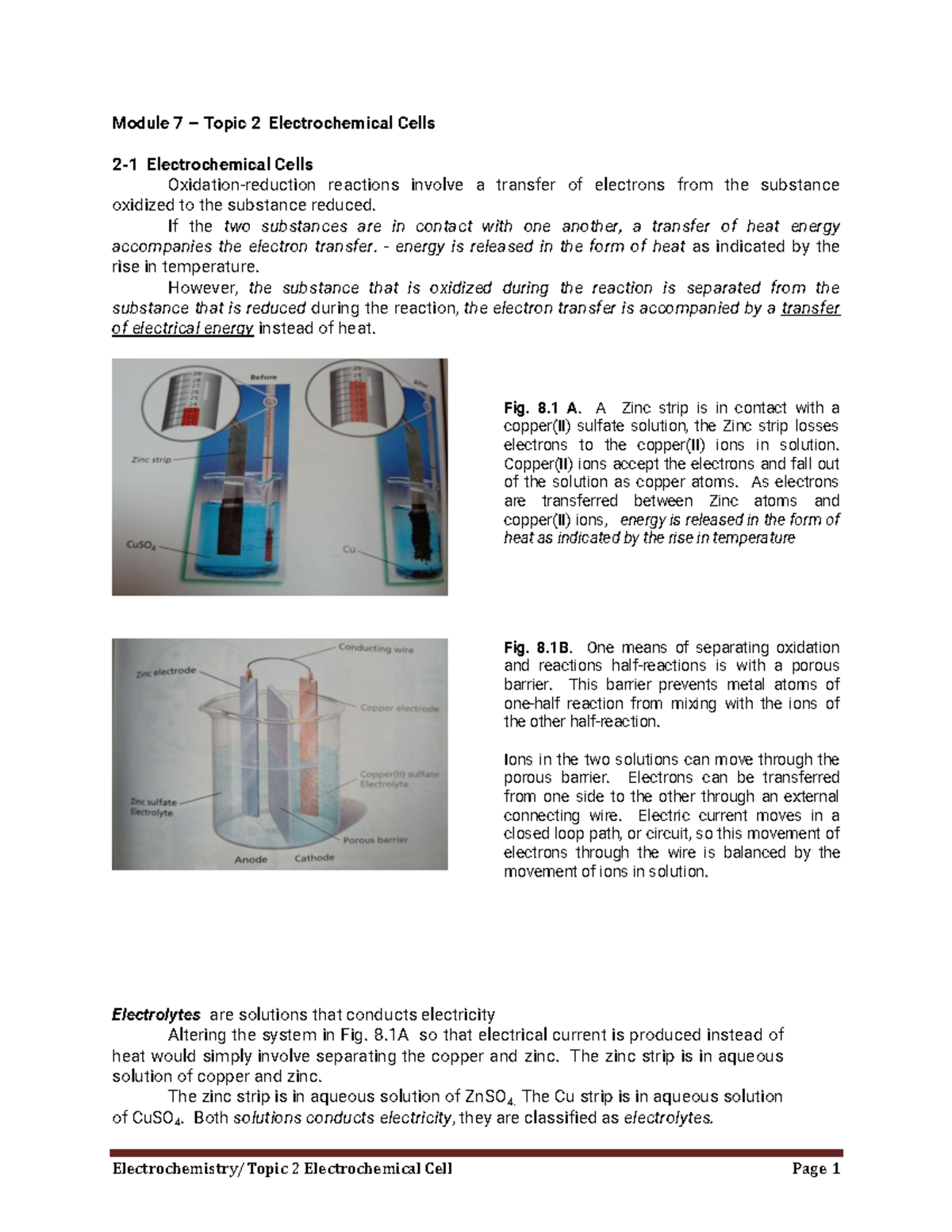 M6 Topic 3 Electrochemical Cells - Module 7 – Topic 2 Electrochemical ...