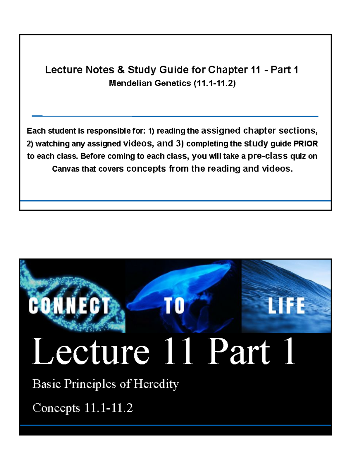 Chapter 11 Part 1 Worksheet And Study Guide Summary - Lecture Notes ...