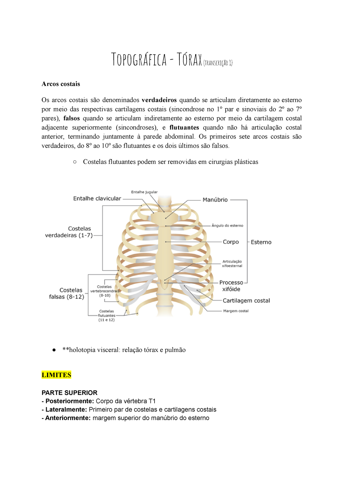 Tórax - Topográfica - Anotações De Aula Mais Conteúdo Do Livro ...