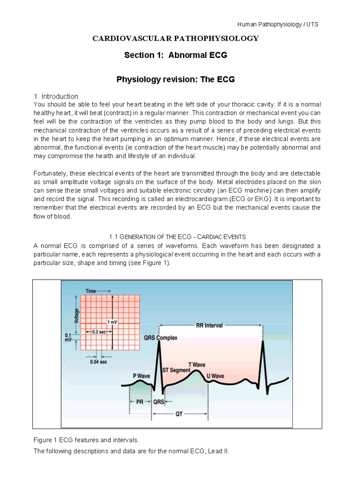 Pre-Work For Workshop - CARDIOVASCULAR PATHOPHYSIOLOGY Section 1 ...