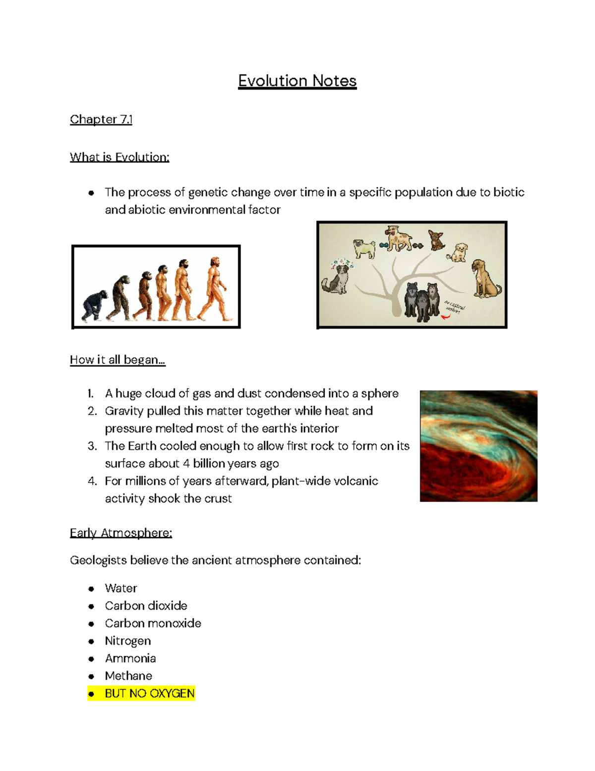 Evolution Notes - Evolution Notes Chapter 7. What Is Evolution: The ...