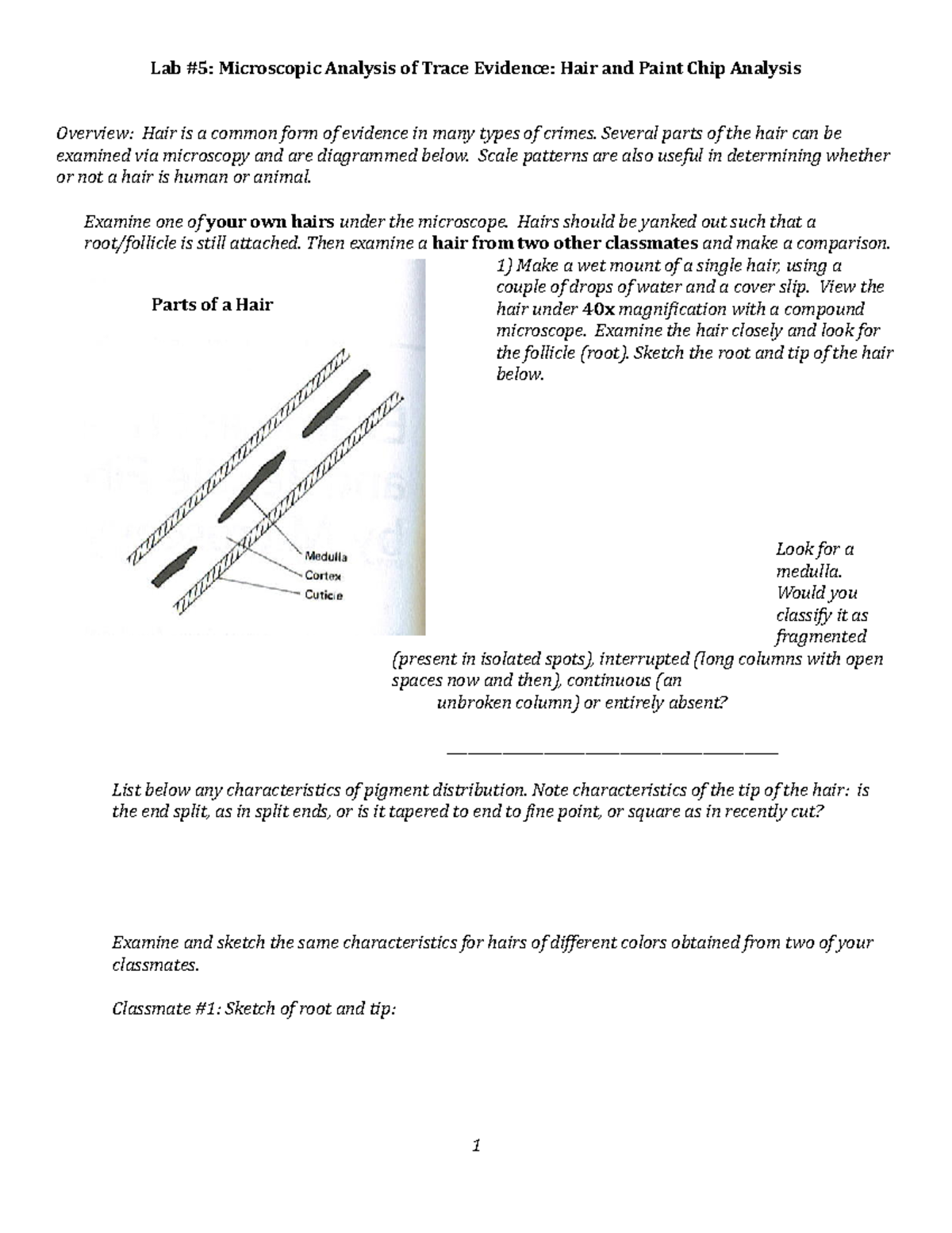 Lab 5 Protocol Microscopy Of Hair Paint Chips Biol 420 Studocu