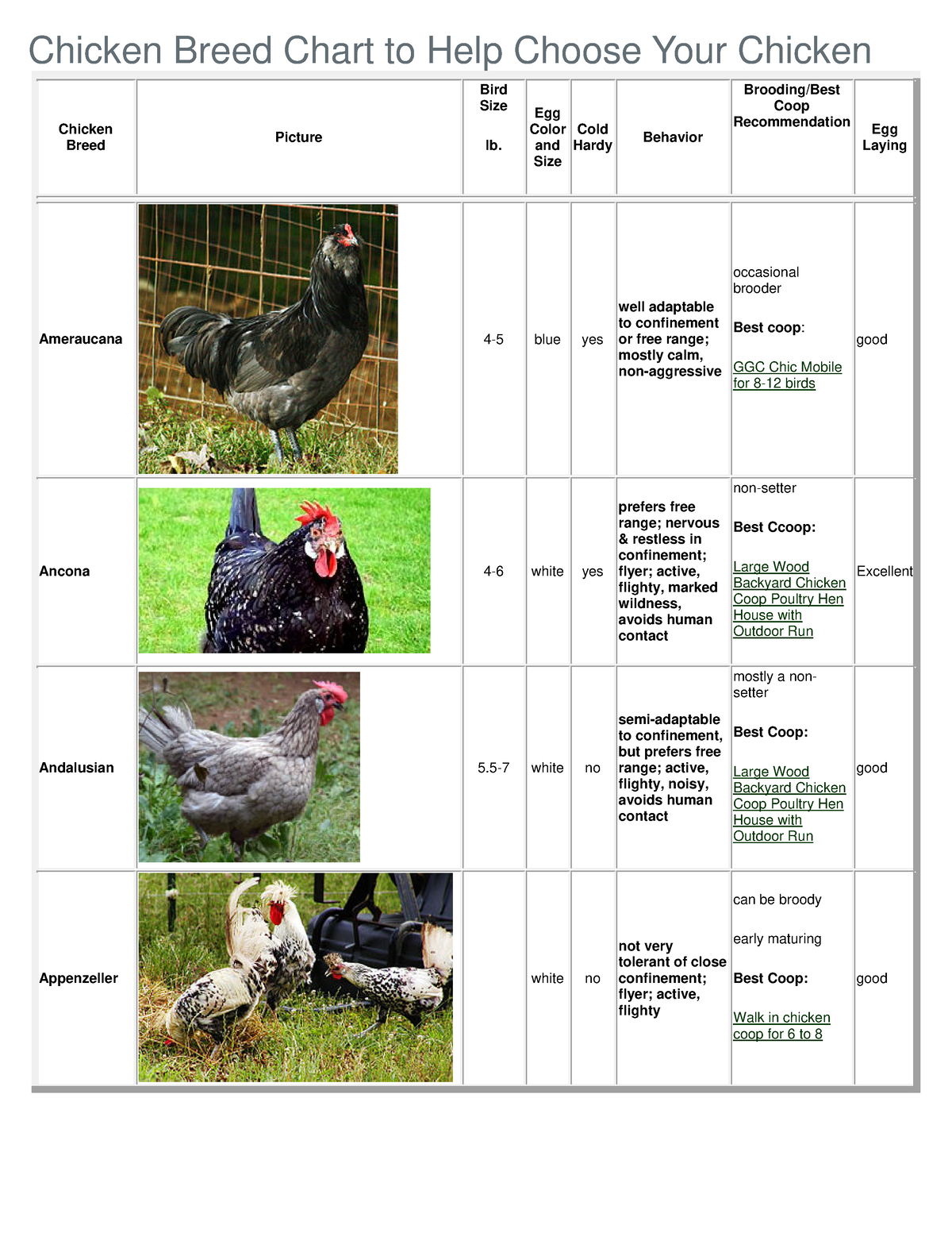 Chicken Breed Chart to Help Choose Your Chicken - Chicken Breed Chart ...