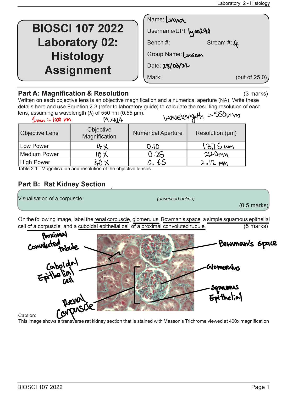 Lab 2 Histology Assignment 2022- Online-1 - BIOSCI 107 2022 Page 1 ...