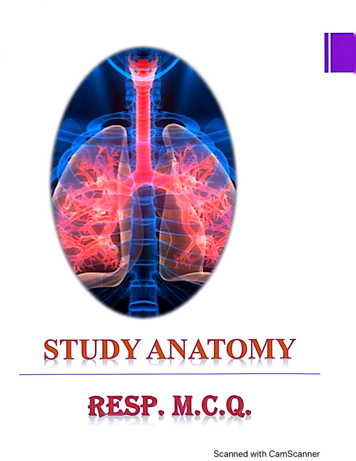 Answers Mcq - Anatomy - Studocu