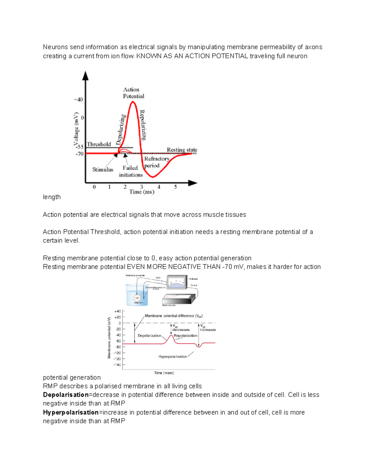 Action potential - AP with graphs - Neurons send information as ...