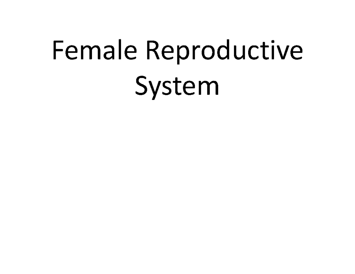 Bio 251 lecture 19 - Female Reproductive System Characteristics of the ...