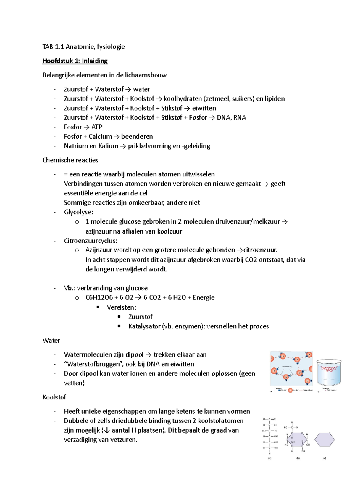 TAB 1.1 Anatomie, Fysiologie - TAB 1 Anatomie, Fysiologie Hoofdstuk 1 ...