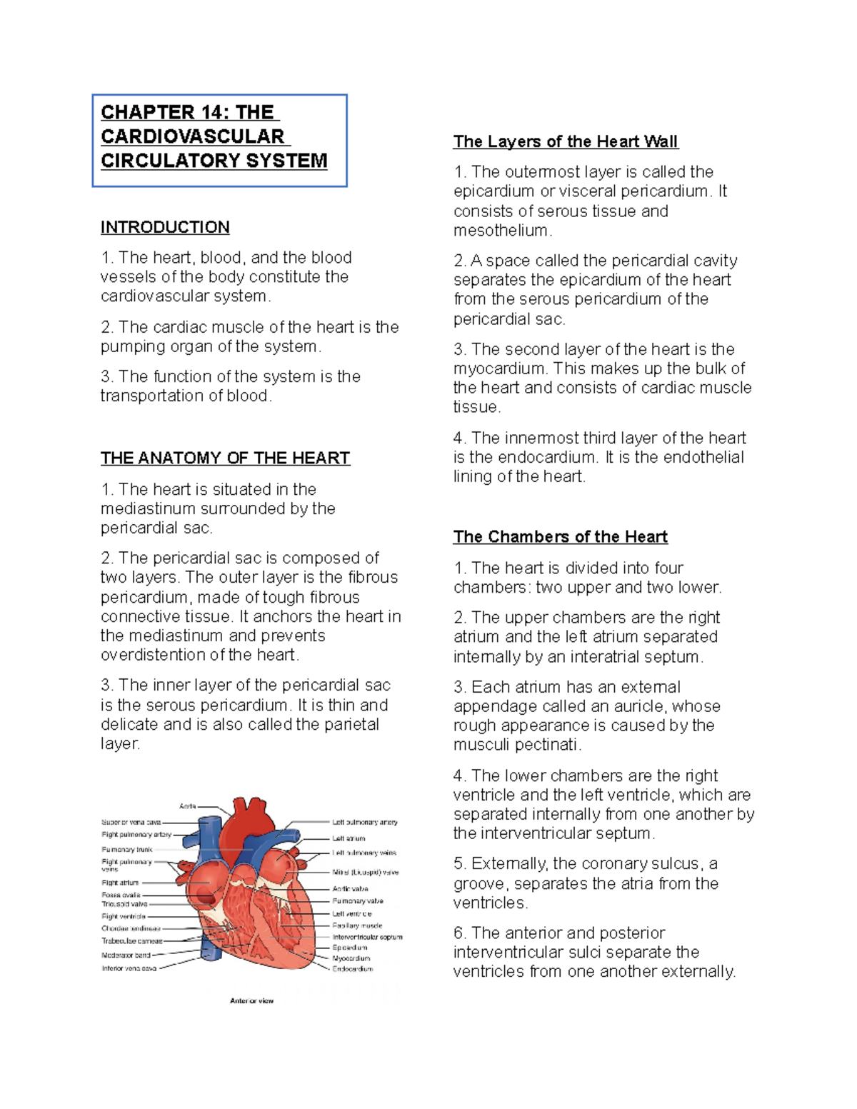 Anaphy- Chapter 14 - CHAPTER 14: THE CARDIOVASCULAR CIRCULATORY SYSTEM ...