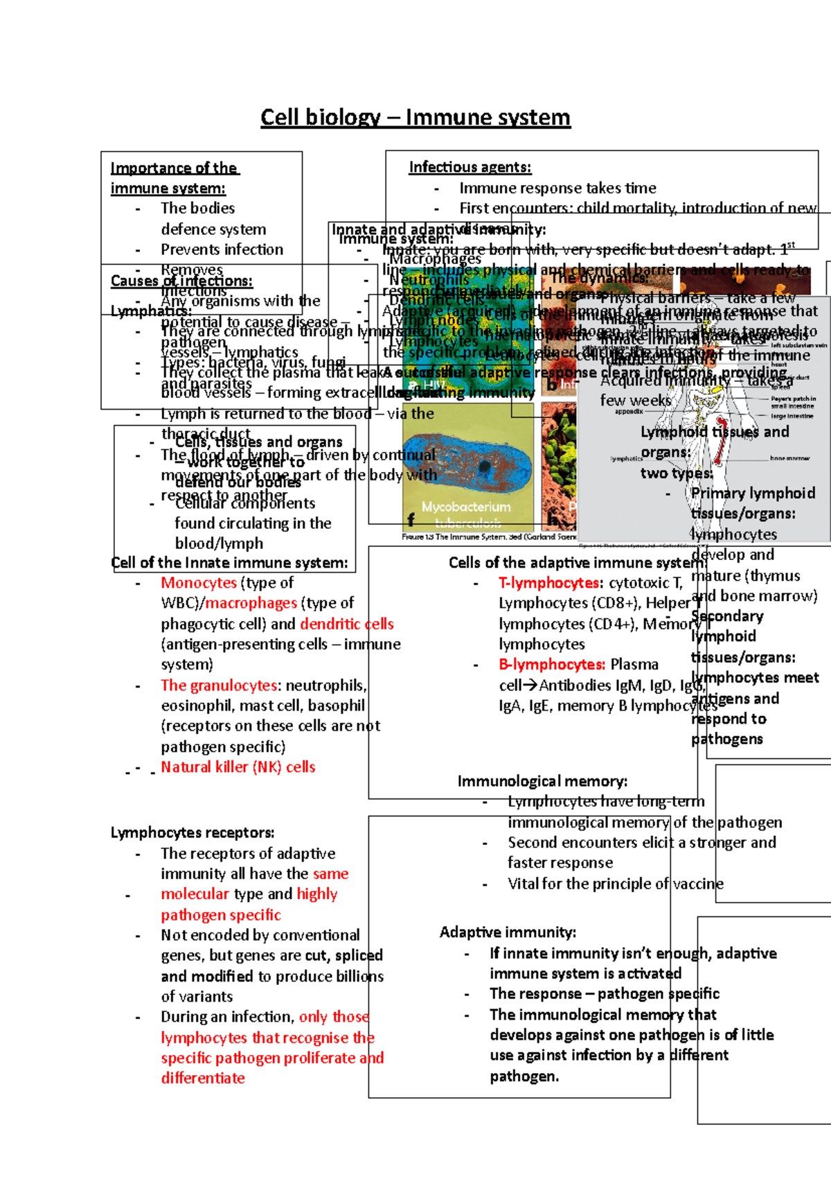 The Immune System - Lecture Notes 6 - Cell Biology – Immune System ...