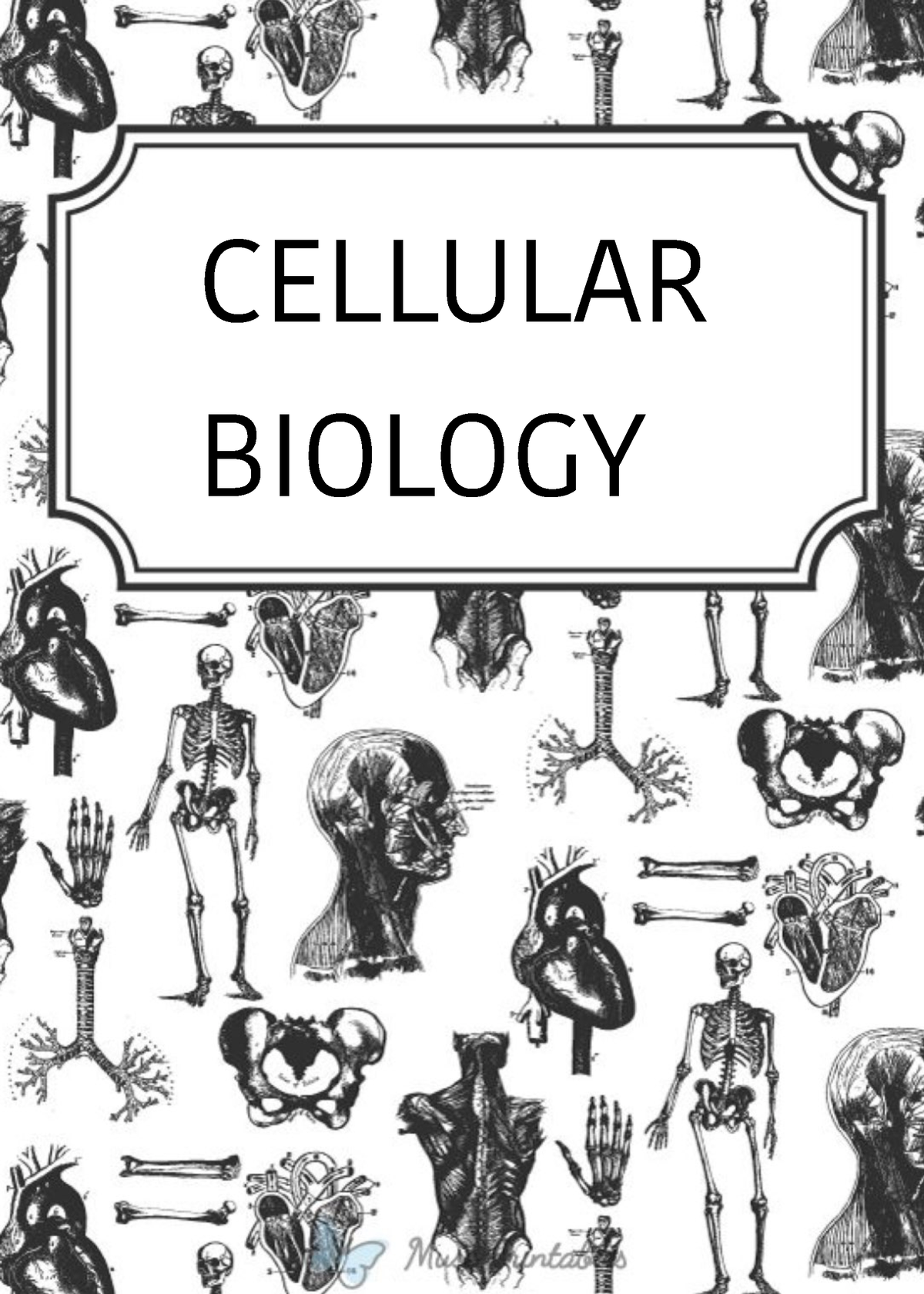 chapter-3-cellular-biology-cellular-biology-3-cells-are-the