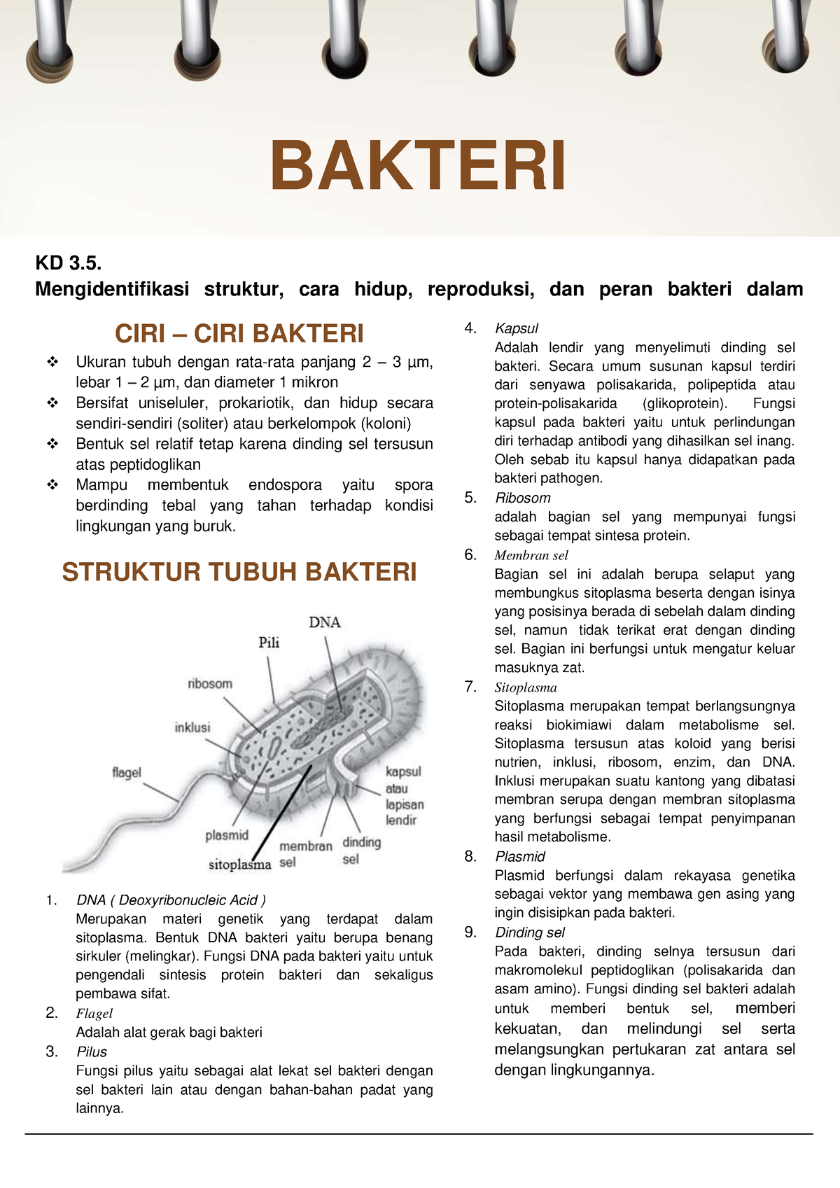 Materi Bakteri - KD 3. Mengidentifikasi Struktur, Cara Hidup ...