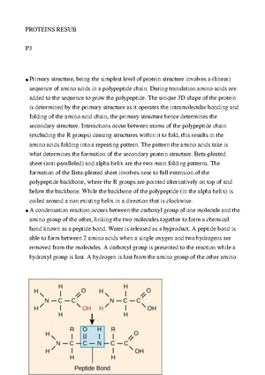 Unit 9 Assignment Brief Learning Aim B - BTEC Assignment Brief ...