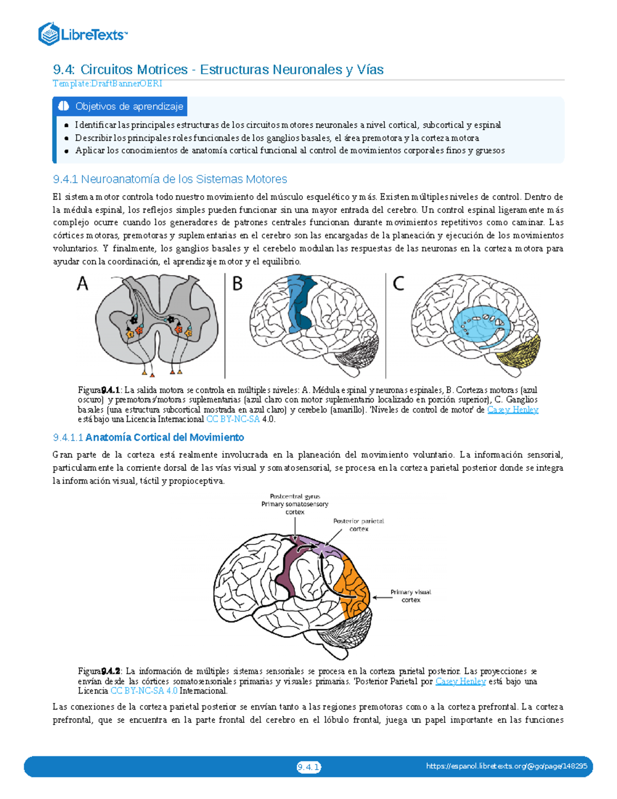 Circuitos Motrices - 4 Neuroanatomía De Los Sistemas Motores El Sistema ...