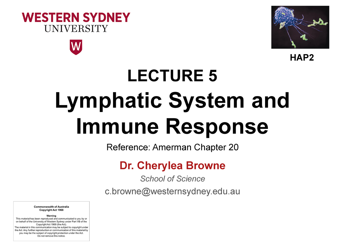 Lecture 5 Lymphatic And Immune - LECTURE 5 Lymphatic System And Immune ...