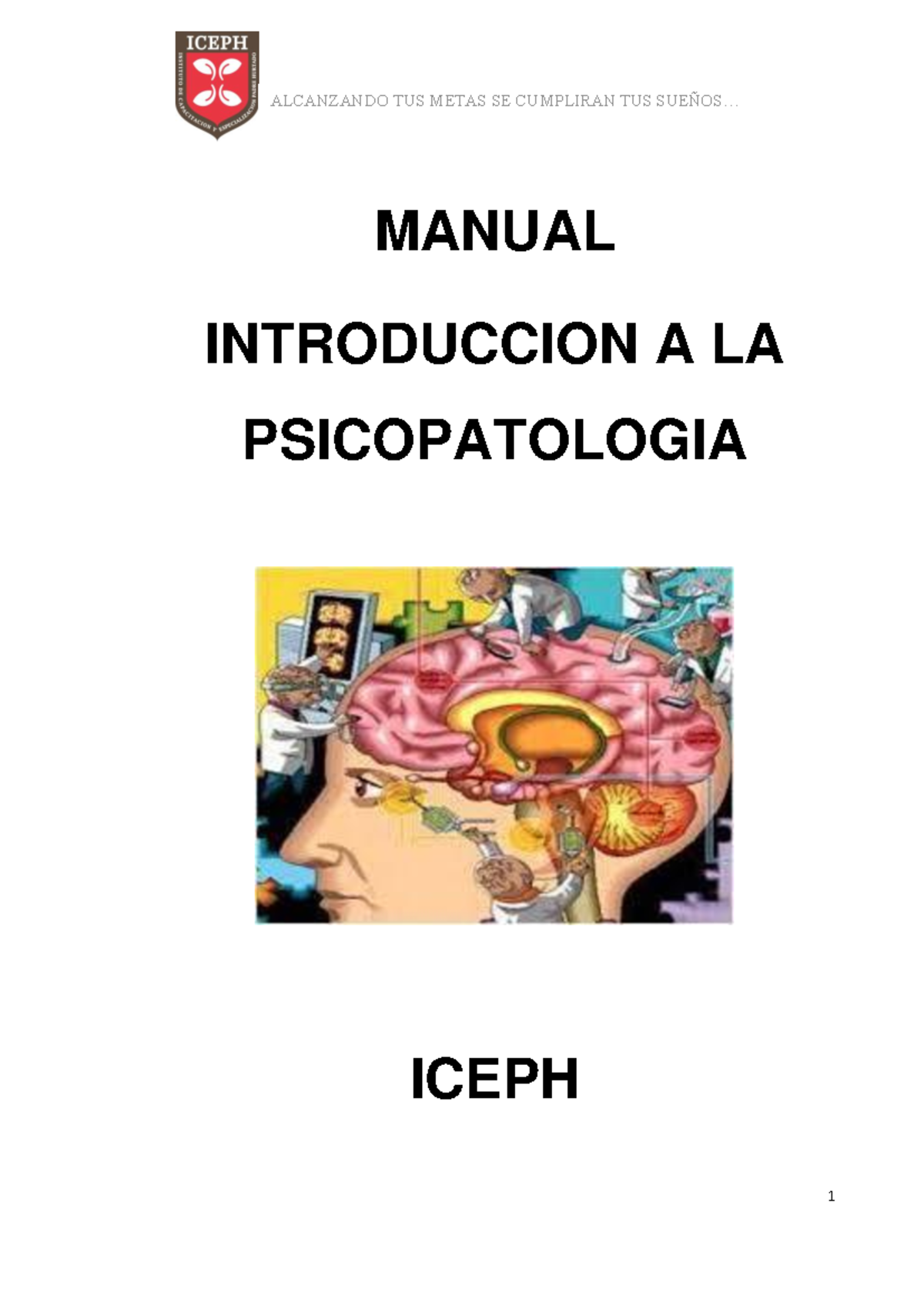 Psicopatología manual - MANUAL INTRODUCCION A LA PSICOPATOLOGIA ICEPH ...