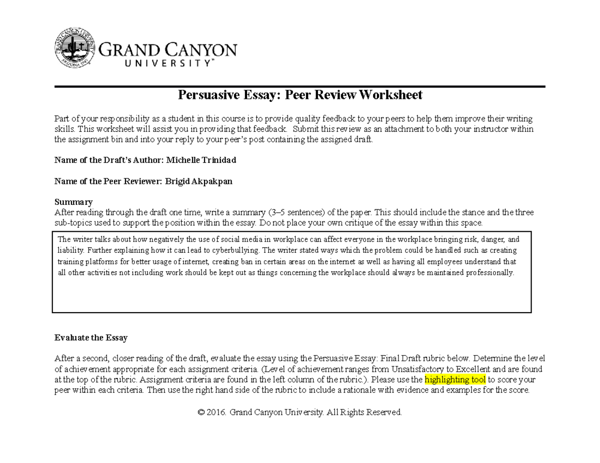 Essay peer review sheet picture