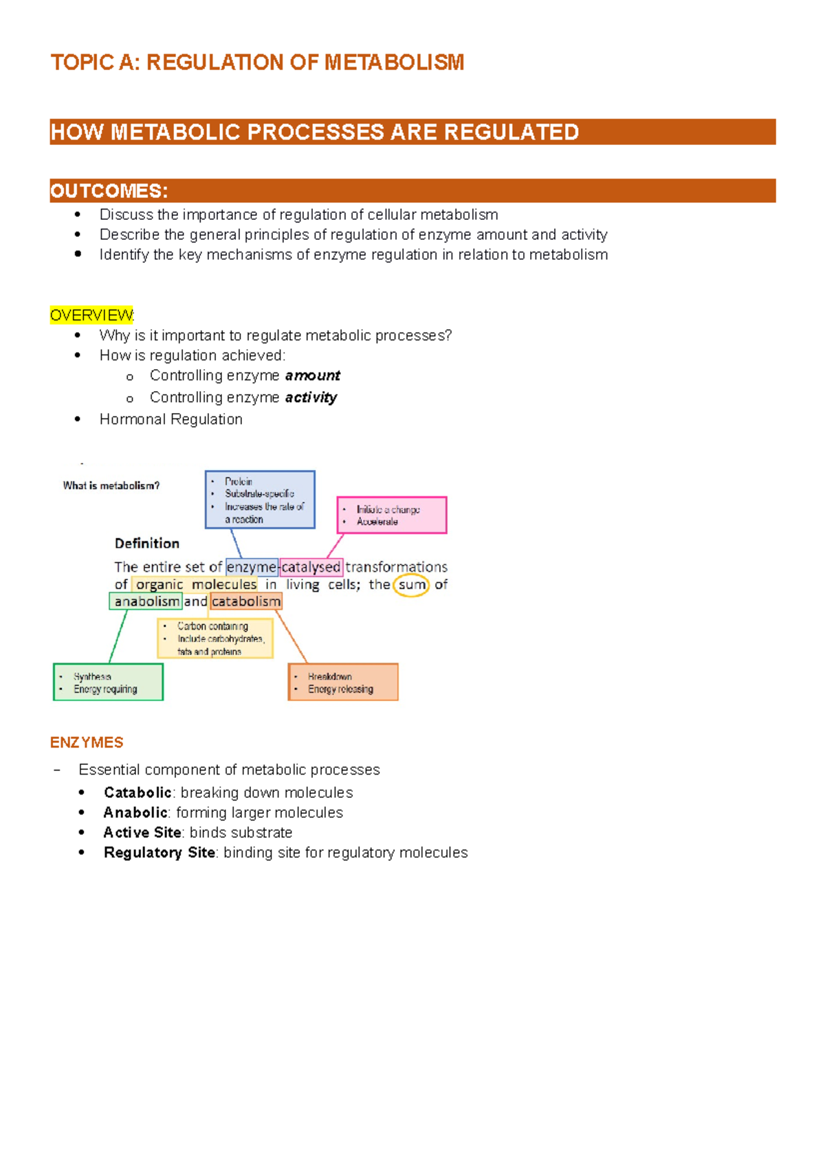 regulation of metabolism - TOPIC A: REGULATION OF METABOLISM HOW ...