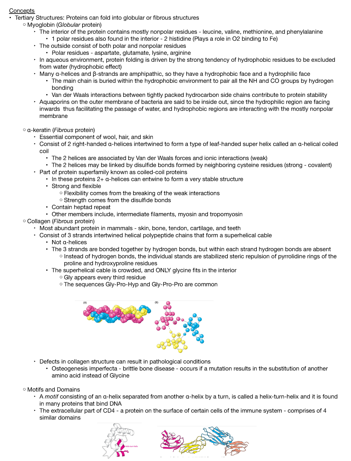 Chapter 2 (Part 2) Protein Composition And Structure - Concepts ...