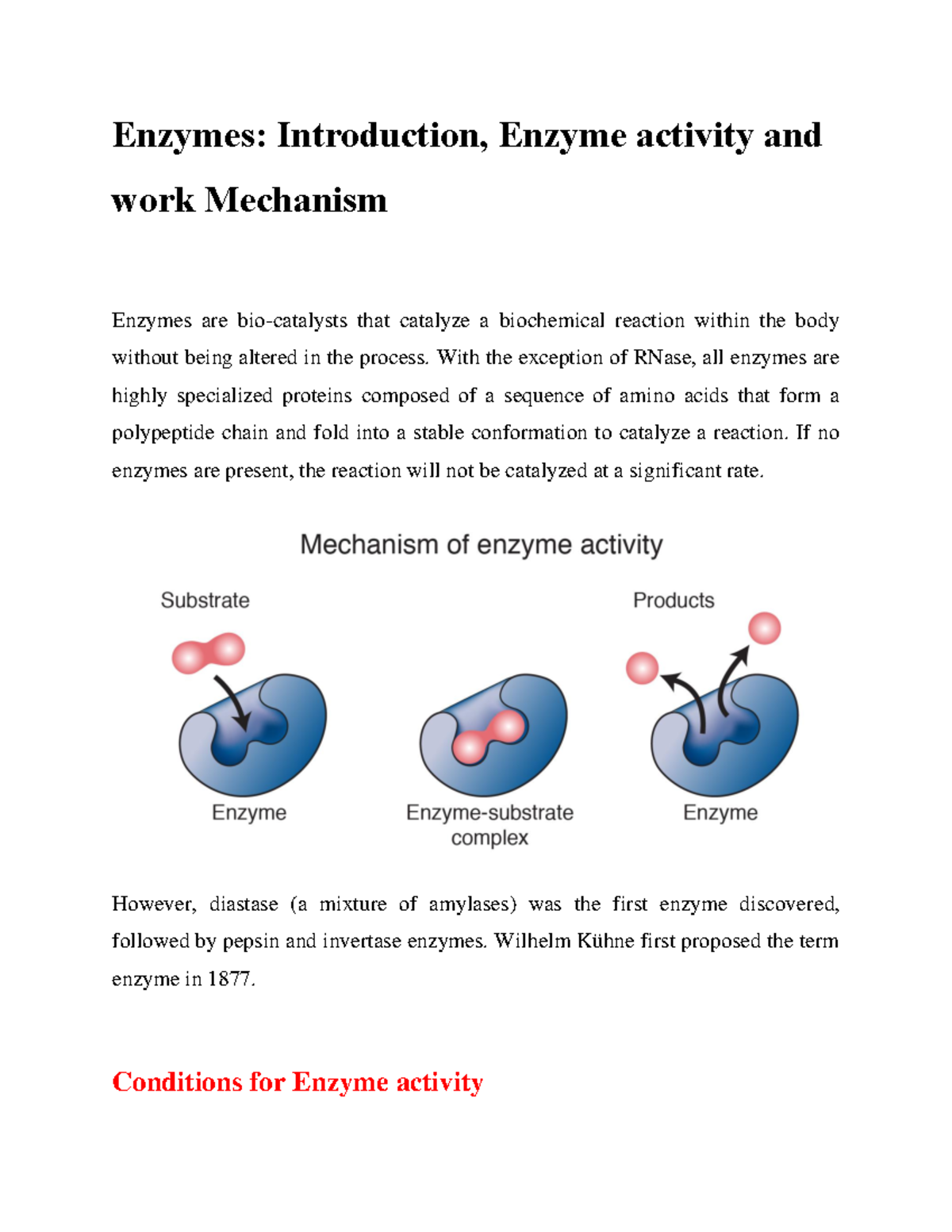 Enzymes Enzyme activity and work Mechanism Enzymes Introduction