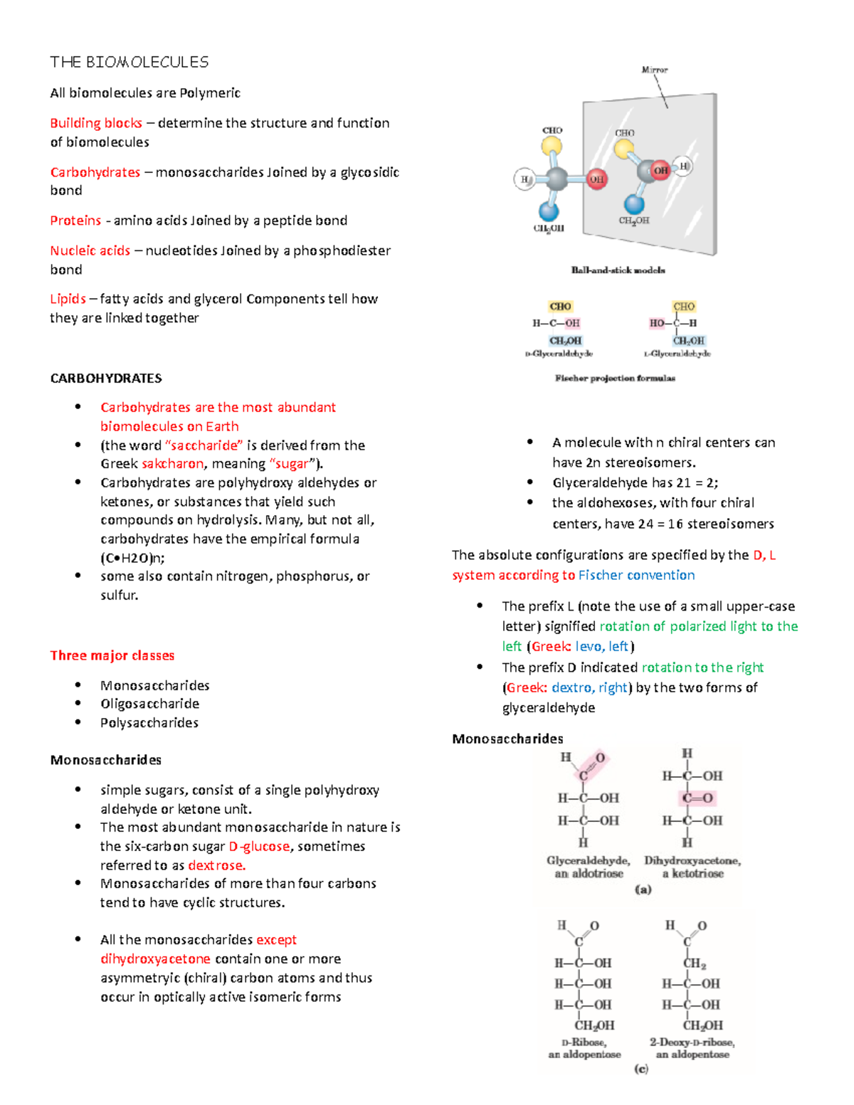 Carbohydrates Reviewer THE BIOMOLECULES All biomolecules are