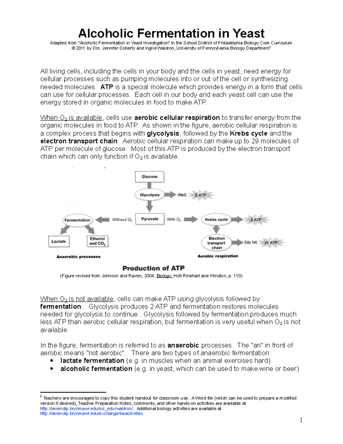 yeast-protocol-www-alcoholic-fermentation-in-yeast-adapted-from