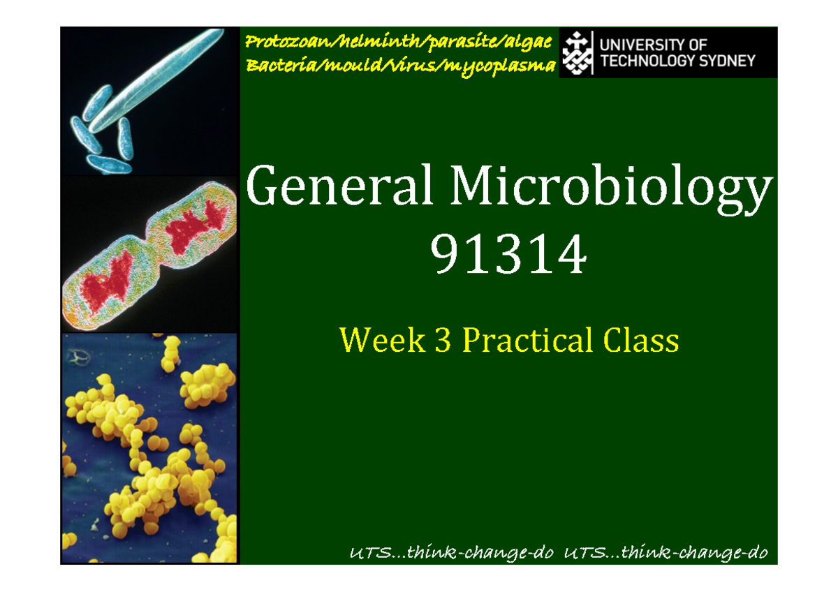 Gen Micro Prac Week 3 (High Res) - General Microbiology 91314 Protozoan ...