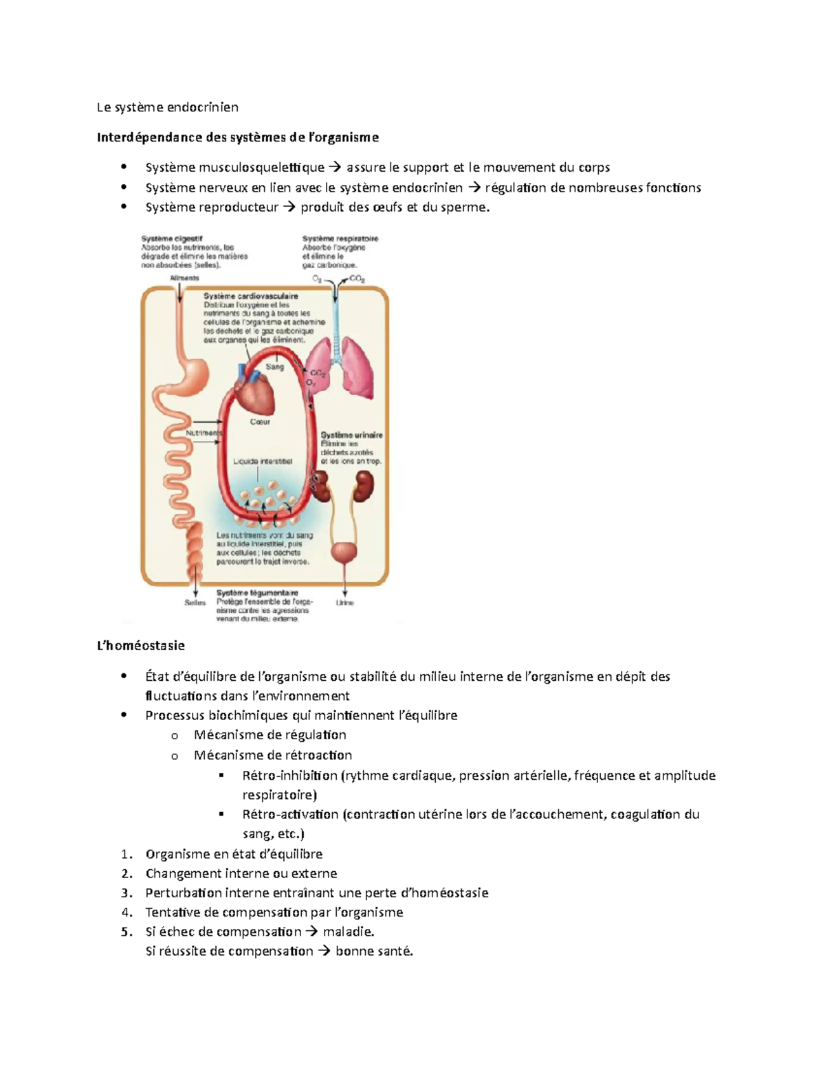 Physiologie : Le Système Endocrinien - Le Système Endocrinien ...