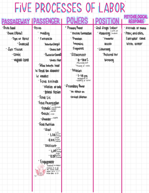 Work 5 Worksheet - neonatal fill in the blank - NEONATAL EVALUATION AND ...
