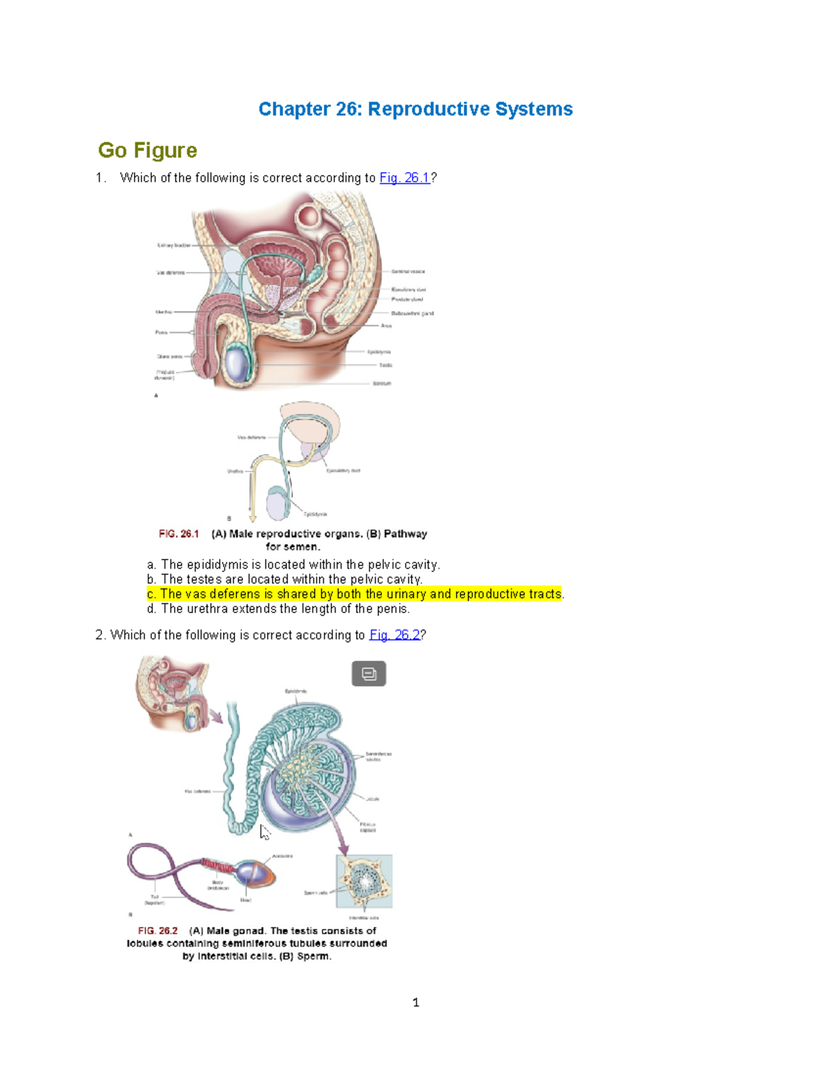 Ahp106 Wk6 Assignment Reproductive System Chapter 26 Reproductive Systems Go Figure Which