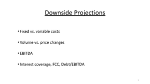 FIN333 Class 3 - Professor Young at DePaul University Lecture Notes for ...