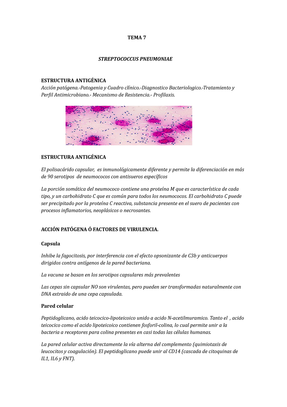 tema-7-streptococcus-pneumoniae-tema-7-streptococcus-pneumoniae