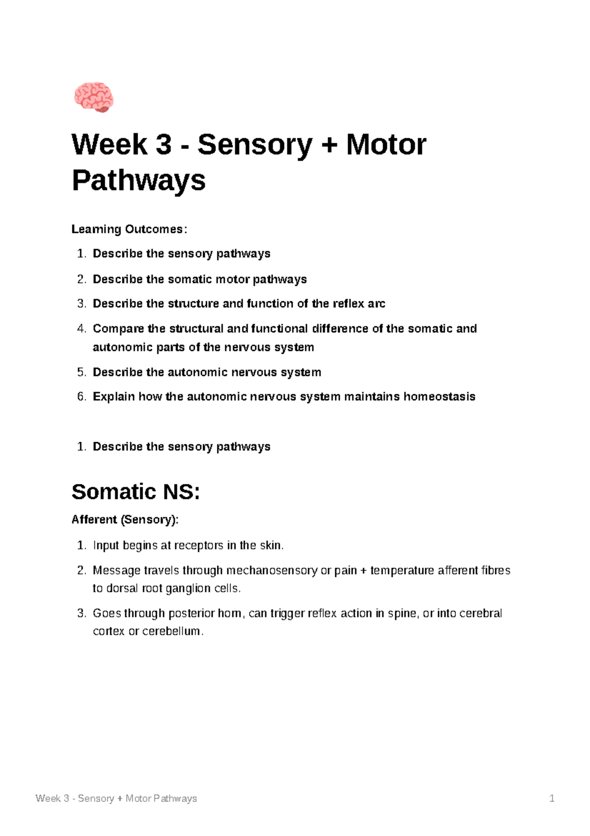 Week 3 Sensory Motor Pathways Week 3 Sensory + Motor Pathways