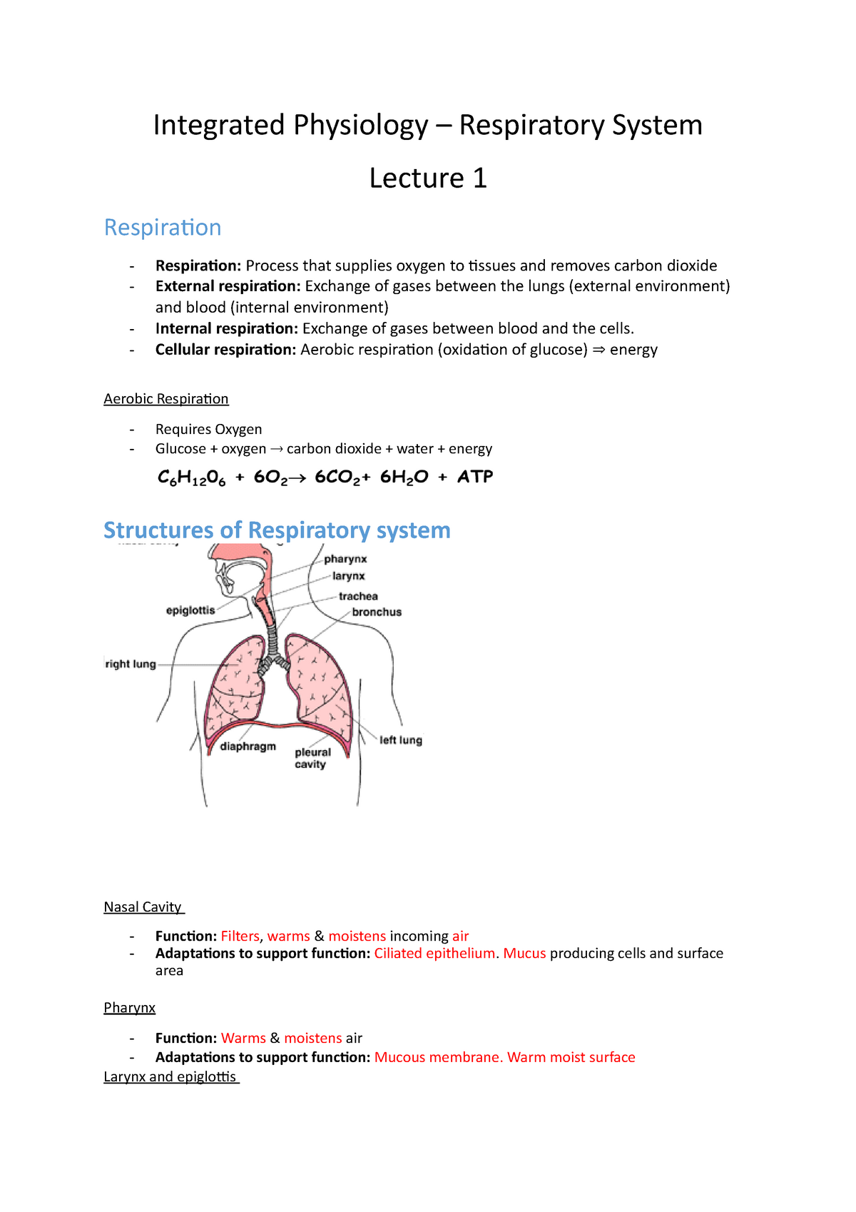 4. Respiratory System - Integrated Physiology – Respiratory System ...