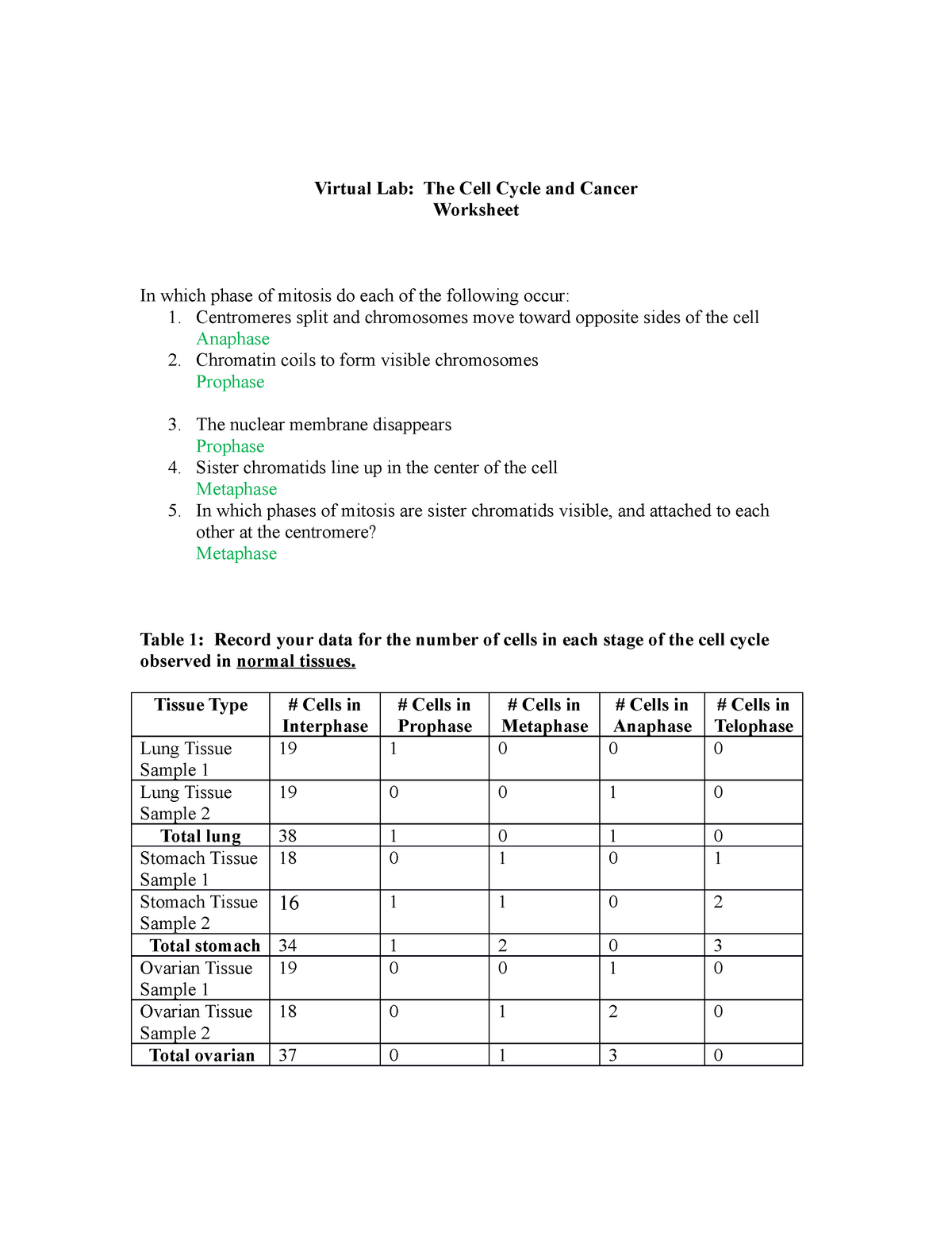 The Cell Cycle And Cancer Worksheet Completed Virtual Lab The Cell Cycle And Studocu