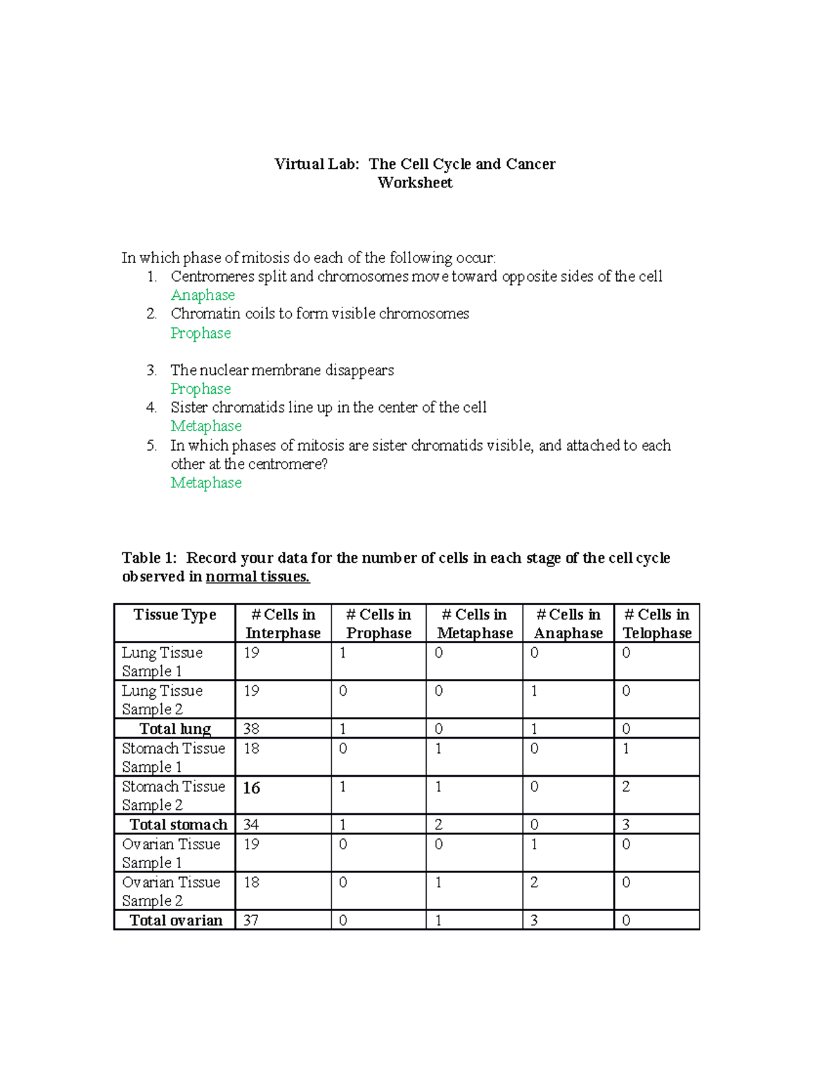 Mitosis Virtual Lab Worksheet Answer Key / Compound ...