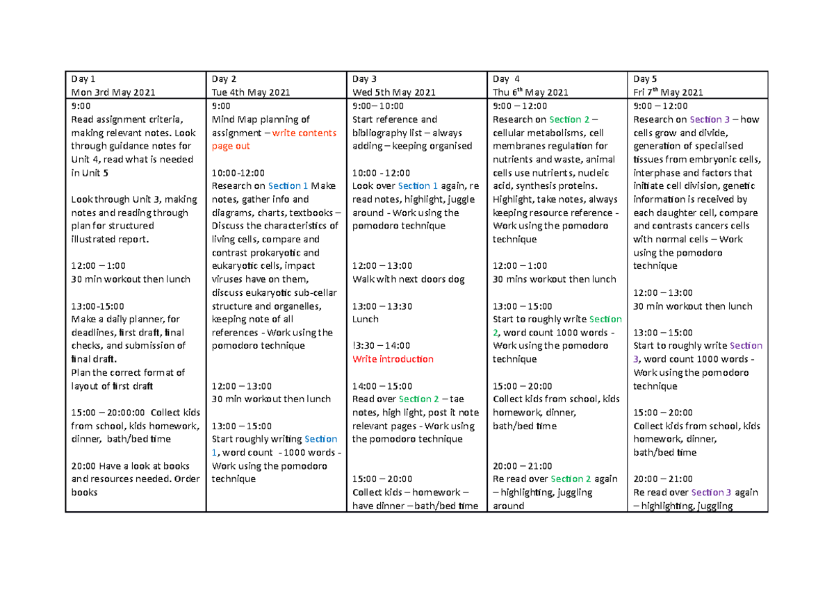 assignment plan for an illustrated report